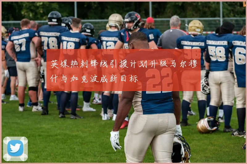 英媒热刺锋线引援计划升级马尔穆什与加克波成新目标