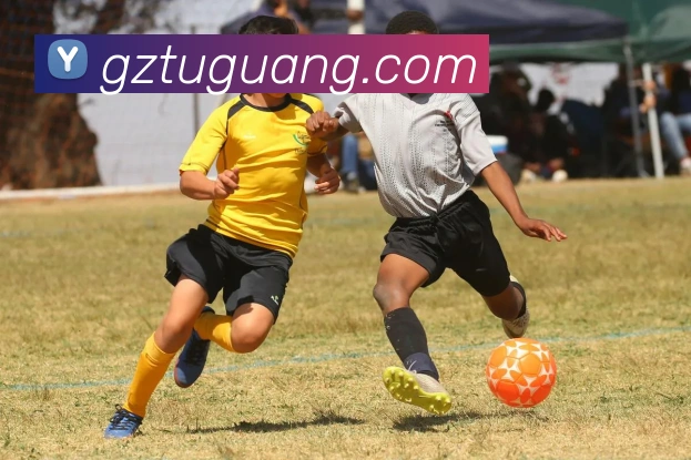 开云APP 高清赛事图