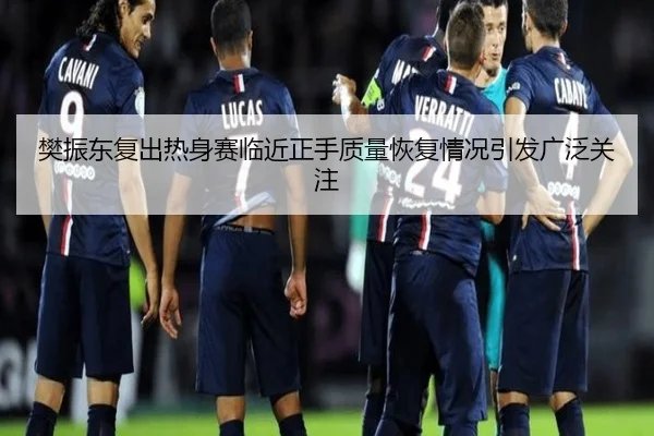 樊振东复出热身赛临近正手质量恢复情况引发广泛关注