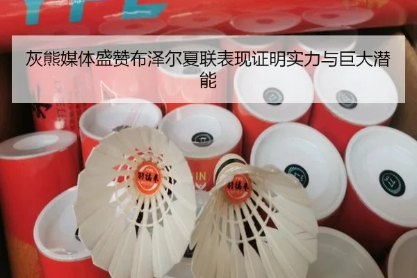 灰熊媒体盛赞布泽尔夏联表现证明实力与巨大潜能